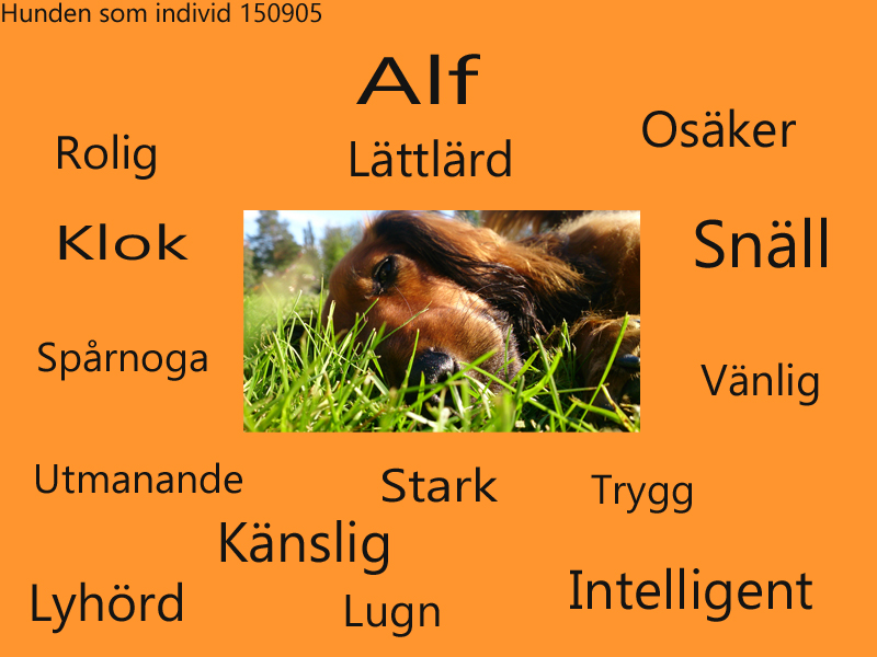 Flockhantering Alf